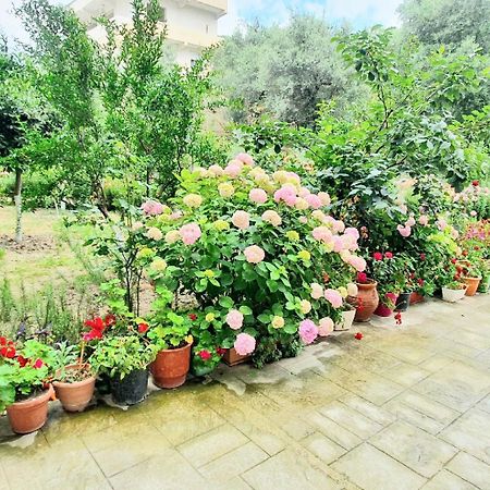 Apartament Me Qera Dublex Lungomare Avlonya Dış mekan fotoğraf